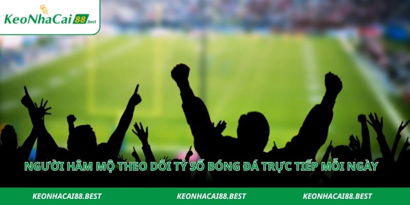 Người hâm mộ theo dõi tỷ số bóng đá trực tiếp mỗi ngày