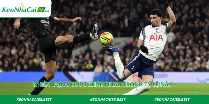 Nhiều dạng odds khác nhau trong tỷ lệ này