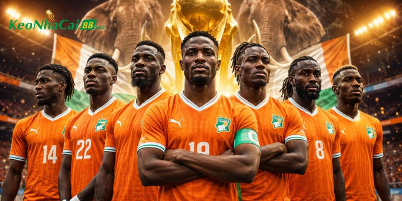 Nắm bắt soi kèo Bờ Biển Ngà vs Ecuador qua phong độ