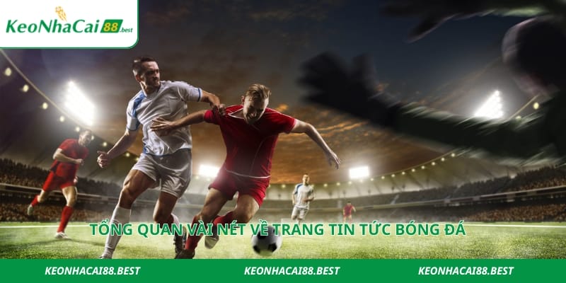 Tổng quan vài nét về trang tin tức bóng đá