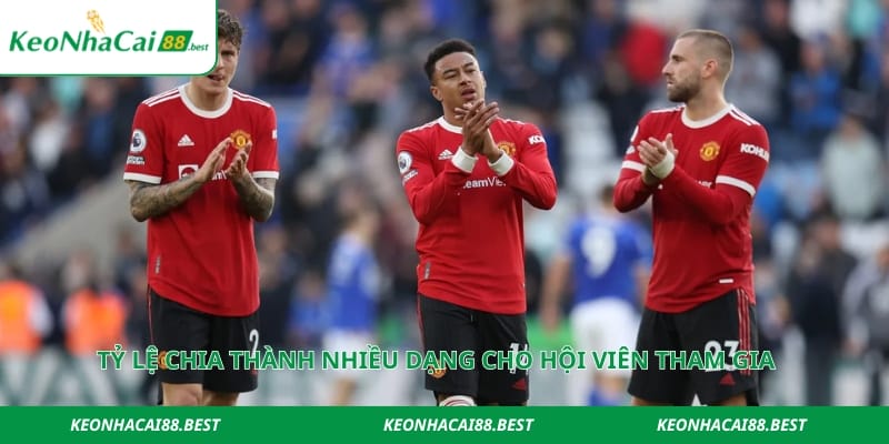 Tỷ lệ chia thành nhiều dạng cho hội viên tham gia