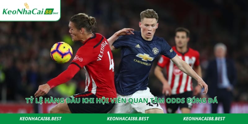 Tỷ lệ hàng đầu khi hội viên quan tâm odds bóng đá